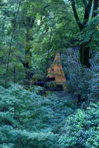 杭州靈隱寺｜祈福超靈驗的江南千年古剎