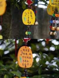 廣州周邊週末洗肺計劃佛山小武功山一日遊