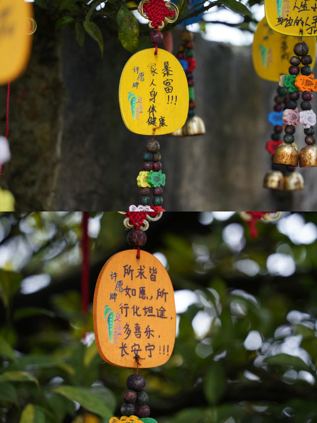 廣州周邊週末洗肺計劃佛山小武功山一日遊