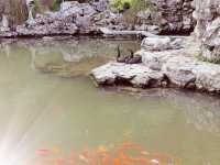 百年史瞻園，金陵第一園