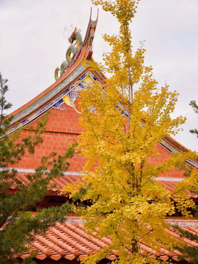 泉州寶藏小眾寺院｜避開人潮靜心聆聽