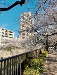 東京 我來啦