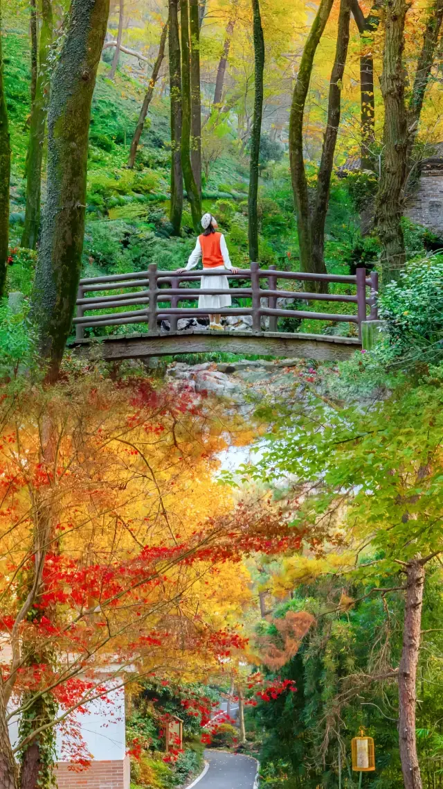 後悔才來這個被嚴重低估的皖南小鎮‖美絕了～