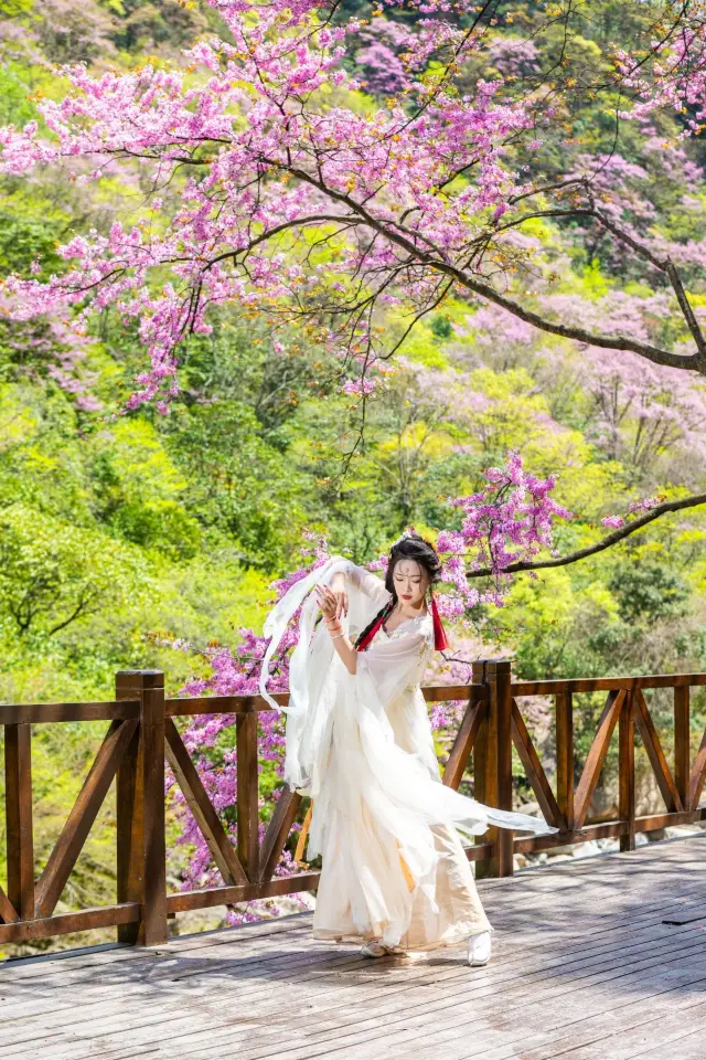 청두 주변 주말을 보내세요! 놓치지 말아야 할 숲속의 비밀 장소입니다