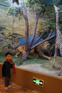 長春免費遛娃｜吉林省自然博物館