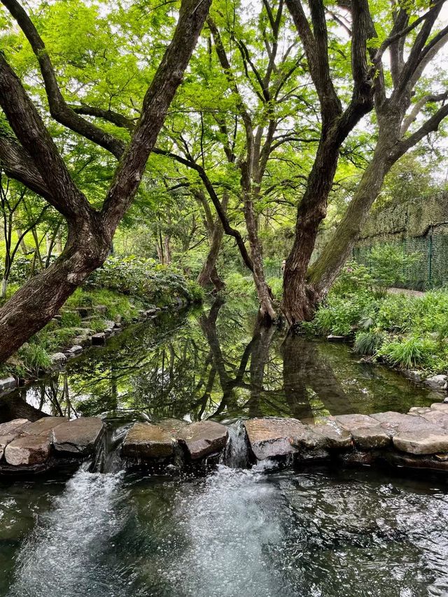 十里琅珰實拍上春山，龍井問茶