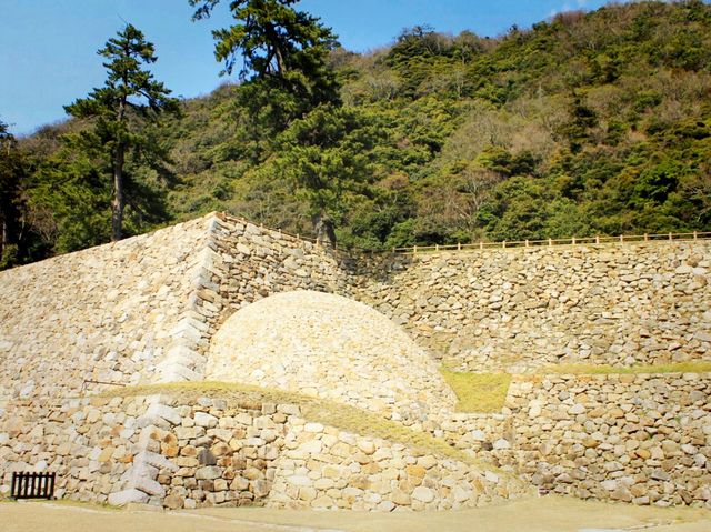 Ruins and Sakura Bloom