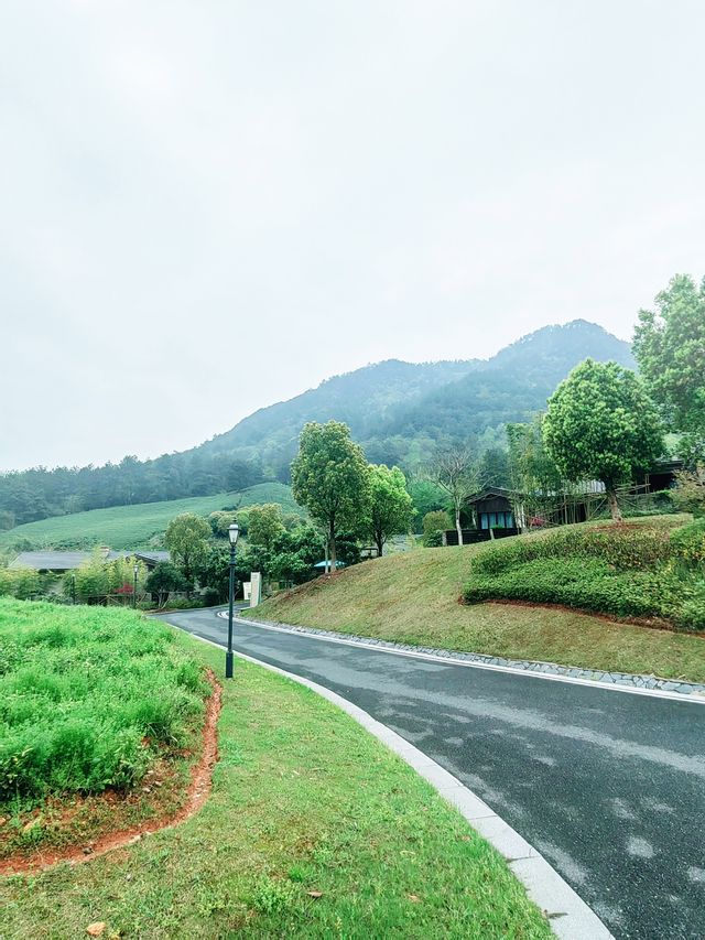 地中海鄰境·安吉度假村，茶園竹林圍成人間仙境