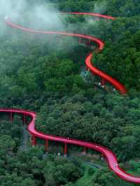深圳適合徒步的公園，像藏在森林裡的紅絲帶