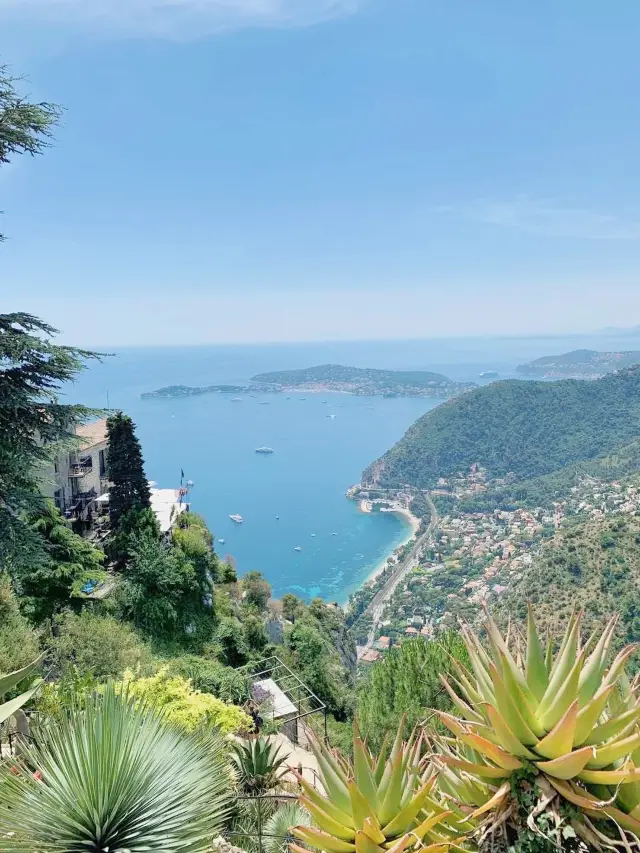 Taller than me? Botanical Garden on the top of the mountain in Southern France