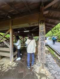 偷得浮生一日閒，伊香保溫泉山上泡頭湯，很有野趣，逛逛石段街