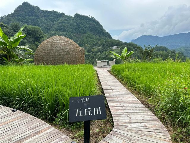 張家界【花筑·星空牧場野奢民宿】