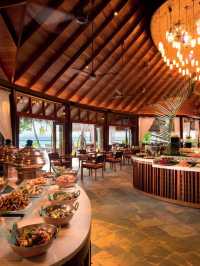 🌴 Maldives Magic: Top Stay at Constance Halaveli 🏖️