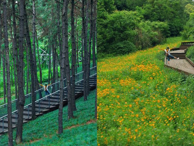 成都森林公園