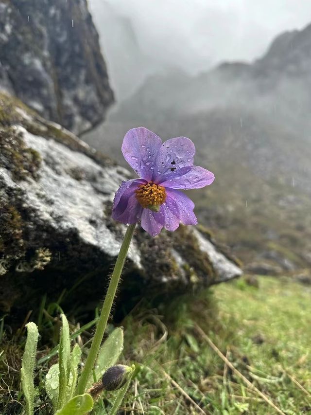 記錄沿途的美麗風景