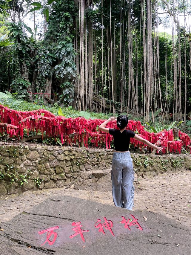 原來海南也有避暑陰涼的地方！！在百花嶺