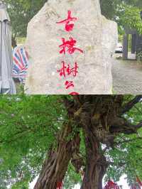 瞎拍夏天 | 終於來到心心念念的西來古鎮啦