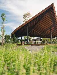 🌟 Chiang Mai's North Hill Resort: A Family Paradise 🏞️