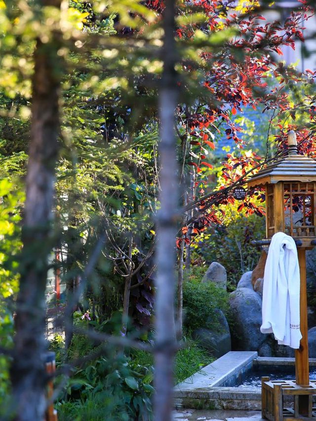 🌄🏨 Escape to Serenity: Sheraton Changbaishan's Mountain Majesty 🌲