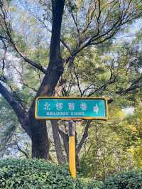 北京｜值得N刷的逛胡同絕佳路線，直接抄作業
