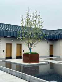 來洛陽看展！給自己充值點藝術細胞……
