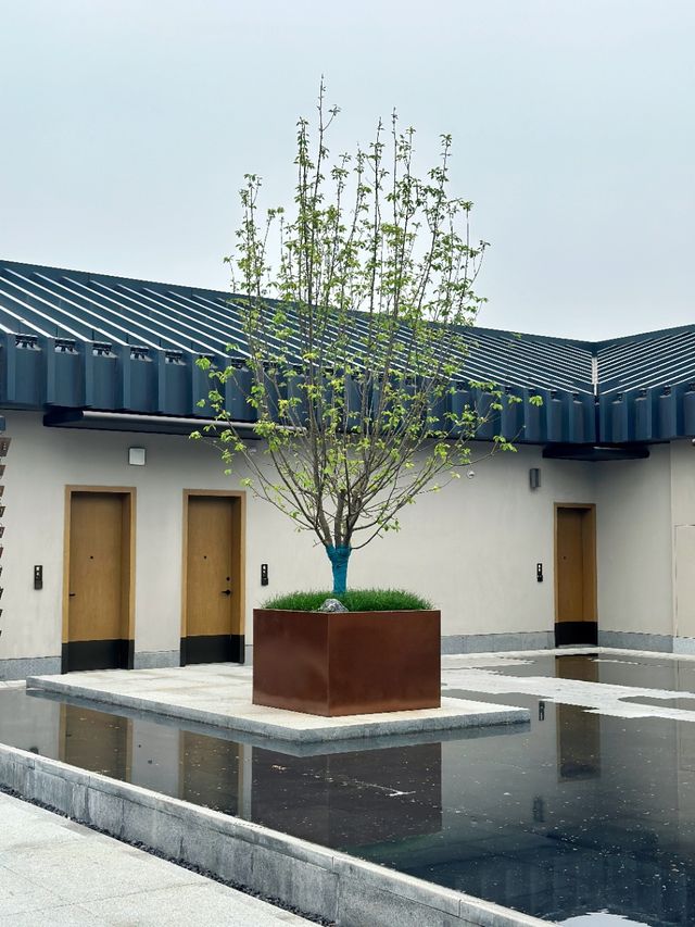 來洛陽看展！給自己充值點藝術細胞……