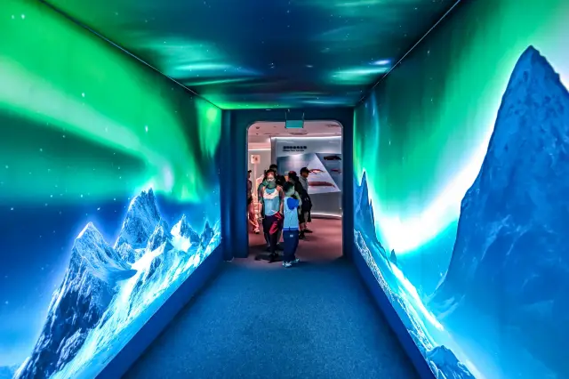 極地的冰雪世界