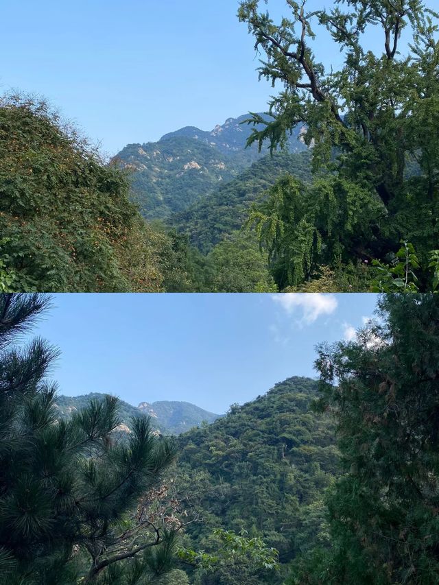 泰安小眾景點推薦，玉泉寺探訪指南