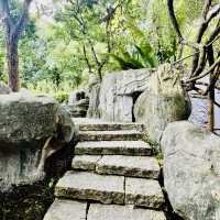 深圳匯芳園😍深圳園林代表作