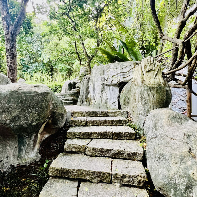 深圳匯芳園😍深圳園林代表作