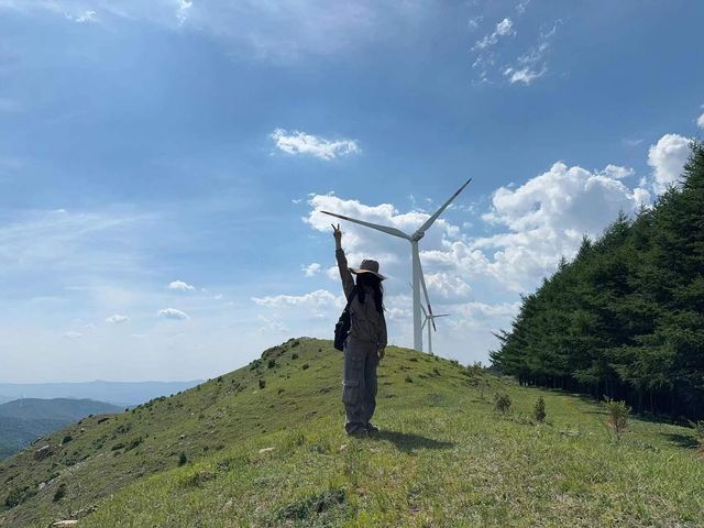 山西婁煩縣皇姑山