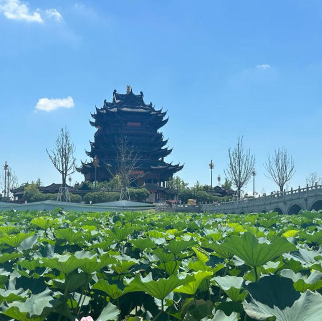 【蘇州/重元寺】湖の中のお寺！1500年の歴史を感じよう！ | Trip.com 蘇州