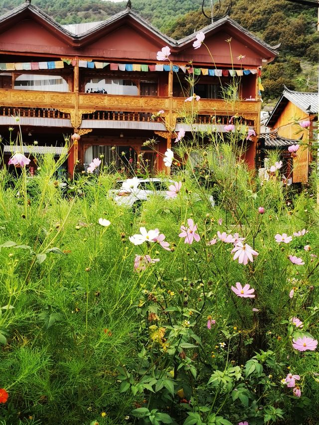 泸沽湖 | 行經婚姻大橋。