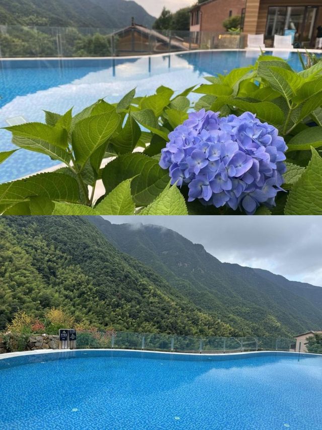 承包松陽古村雲海!700米山谷間的原舍揽樹。