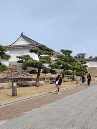 大阪景點｜大阪城：日本歷史名城