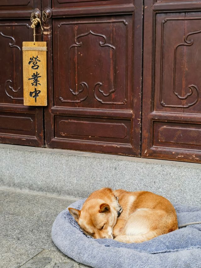 曲曲環環路，叮叮咚咚泉，九溪值得一遊。