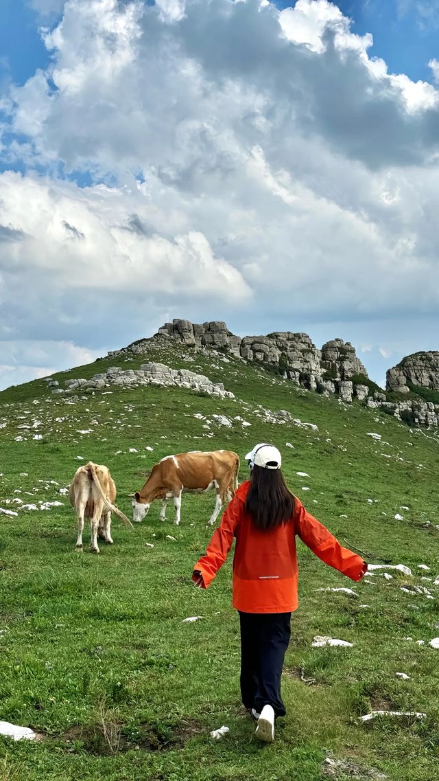 大同｜甸頂山。