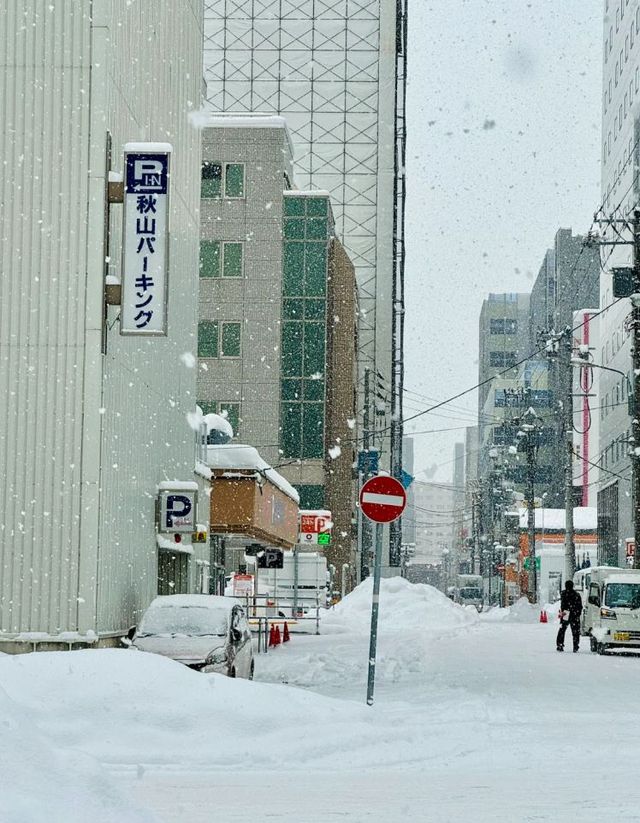 懷念了一整年的北海道。📌北海道超絕懶人版攻略（5天4晚）