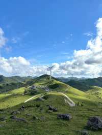 邵陽南山牧場已回，能勸一個是一個。