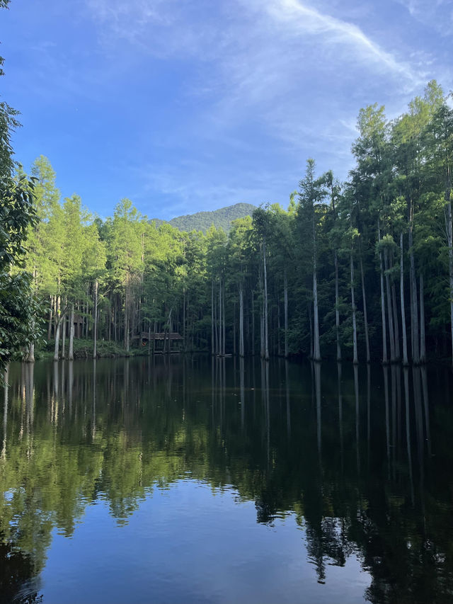 信陽雞公山，被低估嘅避暑旅遊勝地。