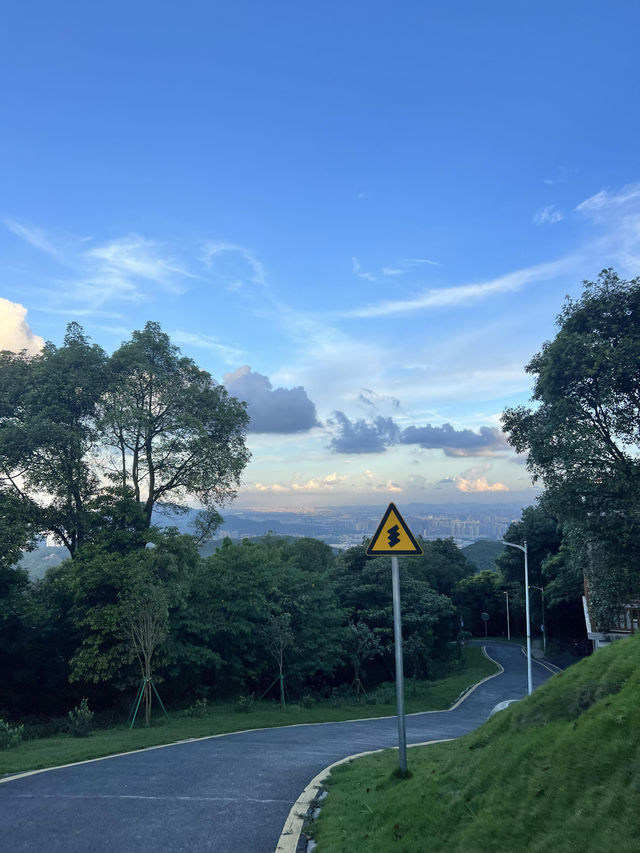 廣州｜ 黃埔油麻山森林公園。