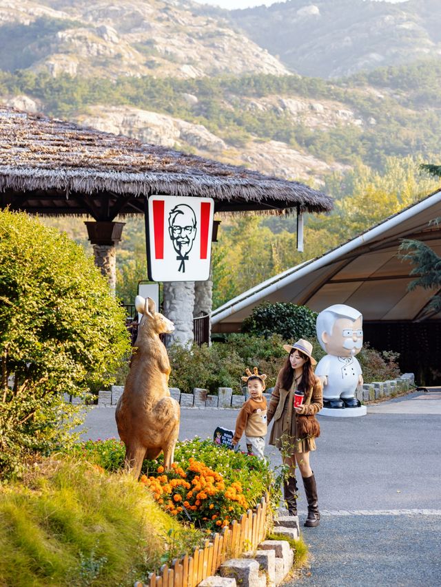 聽勸！淡季去青島野生動物世界可太幸福了。
