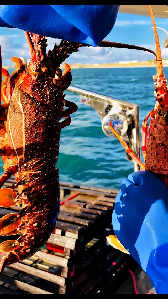 去西澳除了珀斯，還有這個夢幻海島。
