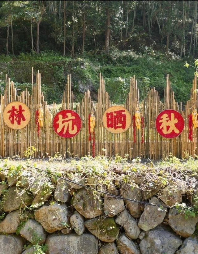 告別人潮，溫州林坑的晒秋盛宴正等你來！。