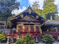 Travel Experience to Nikko's Toshogu Shrine on November 3rd