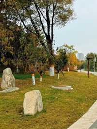 成都 | 賞銀杏遊玩的好去處（附人民公園攻略）。