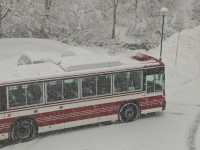 Achieving the Goal of Soaking in an Outdoor Hot Spring Amidst Heavy Snow - Akita Kaniyu Onsen