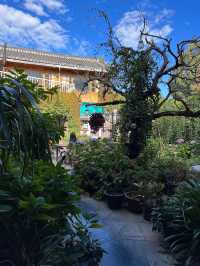 在麗江誤入了莫奈的花園…。