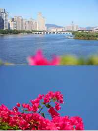 冬季限定衝呢片浪漫花海後悔先知。