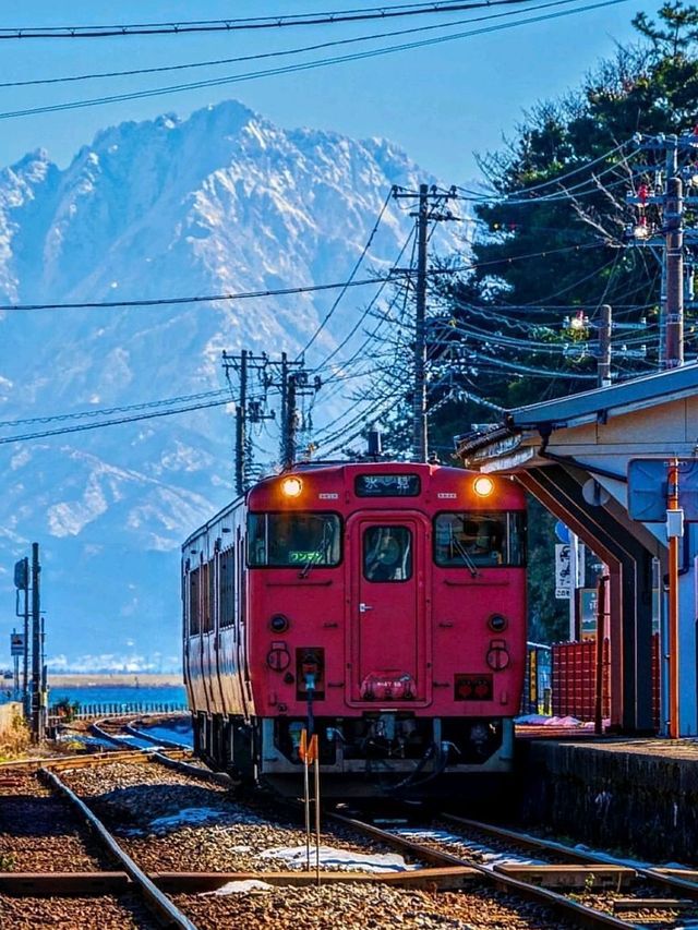 Wonderful Experience in Japan | Amazing😍🤩❤